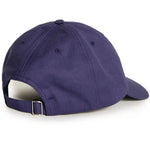 Polar Sai cap college logo