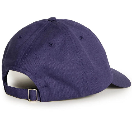 Polar Sai cap college logo