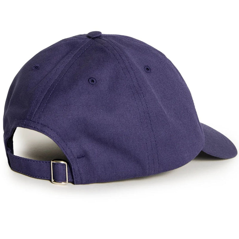 Polar Sai cap college logo
